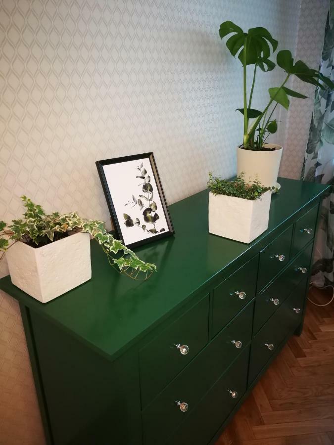 Lemon Tree Apartment فروتسواف المظهر الخارجي الصورة